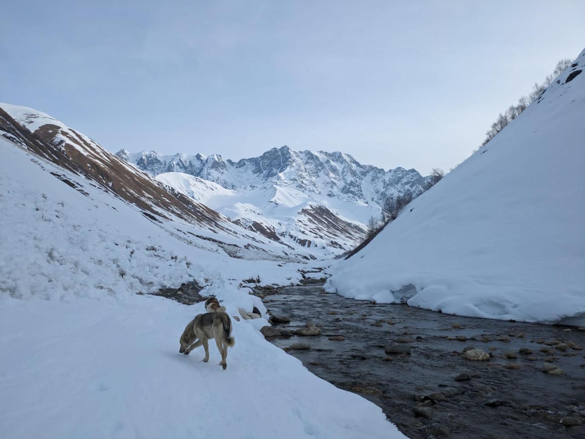 Mshvidoba Hotel Ushguli ภายนอก รูปภาพ